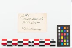 Etikett zu Bernsteinringperle (NHMW-PRAE-073853)